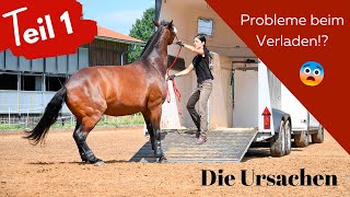 🐴 Pferde sicher und entspannt verladen Teil 1 meiner GratisVerladeLehrvideoReihe 💪🐴😍 [upl. by Till]