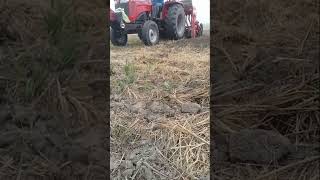 November 14 massey tractor 9500 smart massey9500shortsviral tractor punjab farmer [upl. by Radmilla]