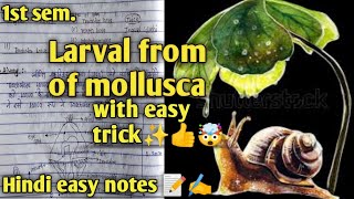 Larval from of mollusca ✍️✨📝msc Zoology 1st semester hindi easy notes with easy tricks 😀🤯👍✨🔥🔥🔥 [upl. by Areikahs768]