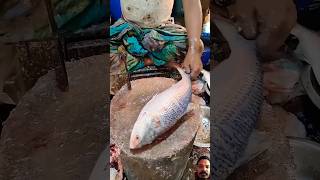 Amazing hilsa fish cutting ✂️ fish hilsafishcutting fishing fishcuttingexpert fishcuttingskills [upl. by Hadias146]