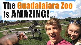 The GUADALAJARA ZOO is IMPRESSIVE [upl. by Alliuqal728]