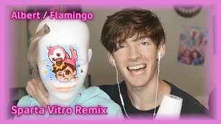 Albert  Flamingo  Sparta Vitro Remix [upl. by Adnaluoy]