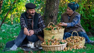 Medlar Harvesting and Canning for Winter  Outdoor Cooking [upl. by Aronle142]