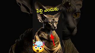 🤯 Why Egyptians Like cats  Telugu facts  pyramids [upl. by Undis]