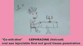 cephalosporin [upl. by Norehs]