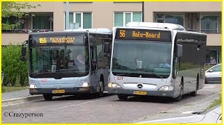 Bussen Hoekse Lijn in Vlaardingen West 10 juli 2017 [upl. by Meehaf704]