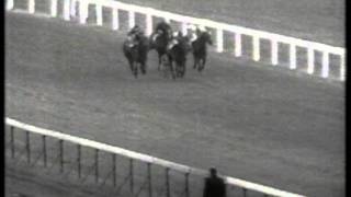 1968 St Leger Stakes [upl. by Annuahsal133]