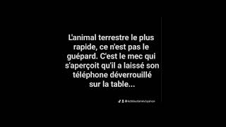 L’animal terrestre le plus rapide 😂🙏 [upl. by Ennairod]