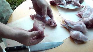 How to Quarter or Disjoint A Rabbit Butchering Rabbit [upl. by Gainor]