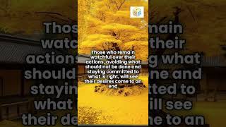 293 Ending Desires The Power of Watchfulness and Wisdom Short Meditation meditation [upl. by Teryn]