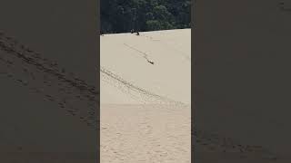 Sandboarding Tangalooma Desert Moreton Island QLD [upl. by Dalenna]