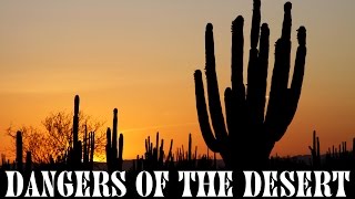 The Dangers of the Desert Part 1 [upl. by Stanwood]