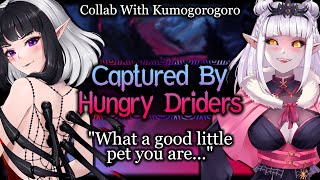 Hungry Drider Mommies Keep You As Pet Dom Personal Attention  Monster Girl ASMR Roleplay FF4A [upl. by Suoivatco]