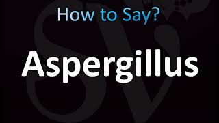 How to Pronounce Aspergillus CORRECTLY [upl. by Wawro177]