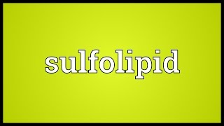 Sulfolipid Meaning [upl. by Ailla88]