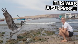 PARACAS PERU TOUR NOT WHAT WE EXPECTED  PARACAS NATIONAL RESERVE PERU  PART 2 [upl. by Gustafson593]