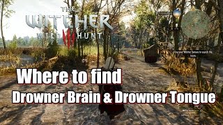 Where to Find Drowner Brain and Drowner Tongue in The Witcher 3 [upl. by Zevahc306]