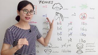 The Tones in Mandarin Chinese  Beginner Lesson 2  HSK 1 [upl. by Sera]