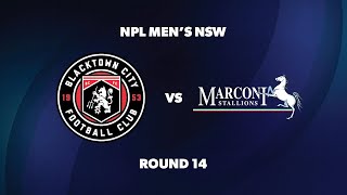 NPL Men’s NSW Round 14 Blacktown City FC v Marconi Stallions FC [upl. by Euqinotna487]