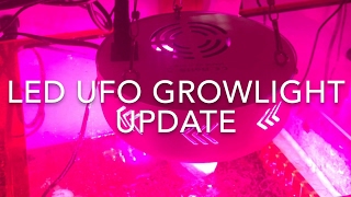 LED Refugium Grow Light Update [upl. by Inattyrb680]