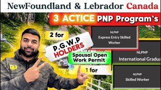 newfoundlandandlabrador Oct2024  3 Easy PNP Programs in ਪੰਜਾਬੀ ਵਿੱਚ canada permanentresidency [upl. by Stent]