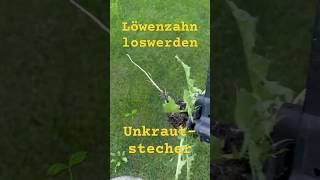 Löwenzahn entfernen mit Unkrautstecher [upl. by Riorsson334]