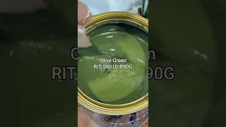 How to Transform Your Home with Olive Green Paint  Interior Design Tips amp Ideas [upl. by Dede]