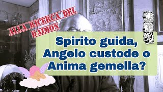 Spirito guida angelo custode o anima gemella Come si presenta limmagine che ci guida nella psiche [upl. by Anived734]