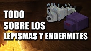 Todo sobre los Lepismas y Endermites  Minecraft en Español [upl. by Barabas]