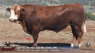 LOT 91  MT MOONEY BIG TONY PP [upl. by Otilrac]