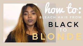 How to bleach hair from BLACK to BLONDE  South African YouTuber [upl. by Annaicul]