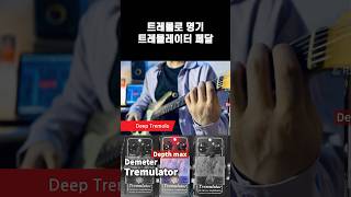 트레몰로 명기 Tremulator 이펙터 shorts [upl. by Turino]