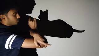 Hand shadow puppets taturiol Handicraft [upl. by Hsirehc]