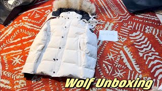 Unboxing dhgate Top quality Wyndham parka Amazon dhgate jacket unboxing unboxingvideo [upl. by Mohandis]