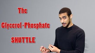 Glycerol Phosphate shuttle شرح بالعربي [upl. by Georgina]