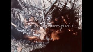 8mm  Switzerland  cervelas swiss sausage BBQ party  1960s [upl. by Bryna527]