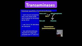 Transaminases Aminotransferases  Metabolism Made Easy [upl. by Dihgirb]