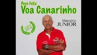 Junior  Voa Canarinho  VERSÃO OFICIAL 2014 [upl. by Kram]