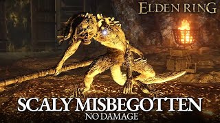 Scaly Misbegotten Boss Fight No Damage Elden Ring [upl. by Alberto586]