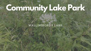 Community Lake Park  Wallingford CT [upl. by Senga]