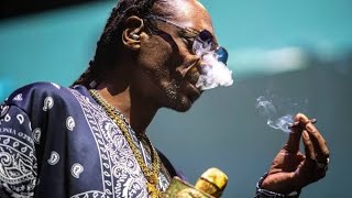 Snoop Doggs Auckland show 2023 Best Moments  Snoop Dogg NZ tour Highlights [upl. by Charlena192]