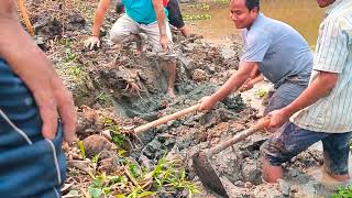 Eel fish  digging not an easy  expert hunters [upl. by Dnesnwot]