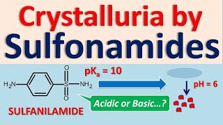 Crystalluria by sulfonamides and effect of pKa [upl. by Grekin627]