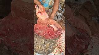 Amajing fish cutting speed fish fishing bigfish food carpfishing musicremixdj keşfettechno [upl. by Adirehs]