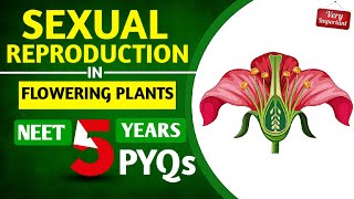 30 Most Repeated PYQs🔥 Reproduction In Flowering Plant  Class 12 Biology neet2025 [upl. by Olaznog730]