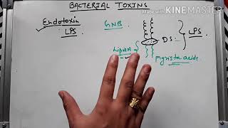 Bacterial toxin ।। Endotoxin in hindi [upl. by Ennaej998]