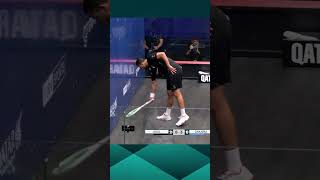 THIS HAS EVERYTHING 🤯 Epic from Mostafa Asal 🔥 squash [upl. by Yorke]