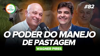 O IMPACTO DO MANEJO DE PASTAGEM NA PRODUÇÃO PECUÁRIA Wagner Pires  MF Cast 82 [upl. by Alisander541]