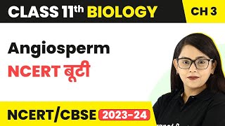 Angiosperm  NCERT बूटी  Plant Kingdom  Class 11 Biology Chapter 3  NCERTCBSE [upl. by Oznole]