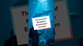 The Sound of Navigation Echolocation Unveiled [upl. by Ellenuahs]